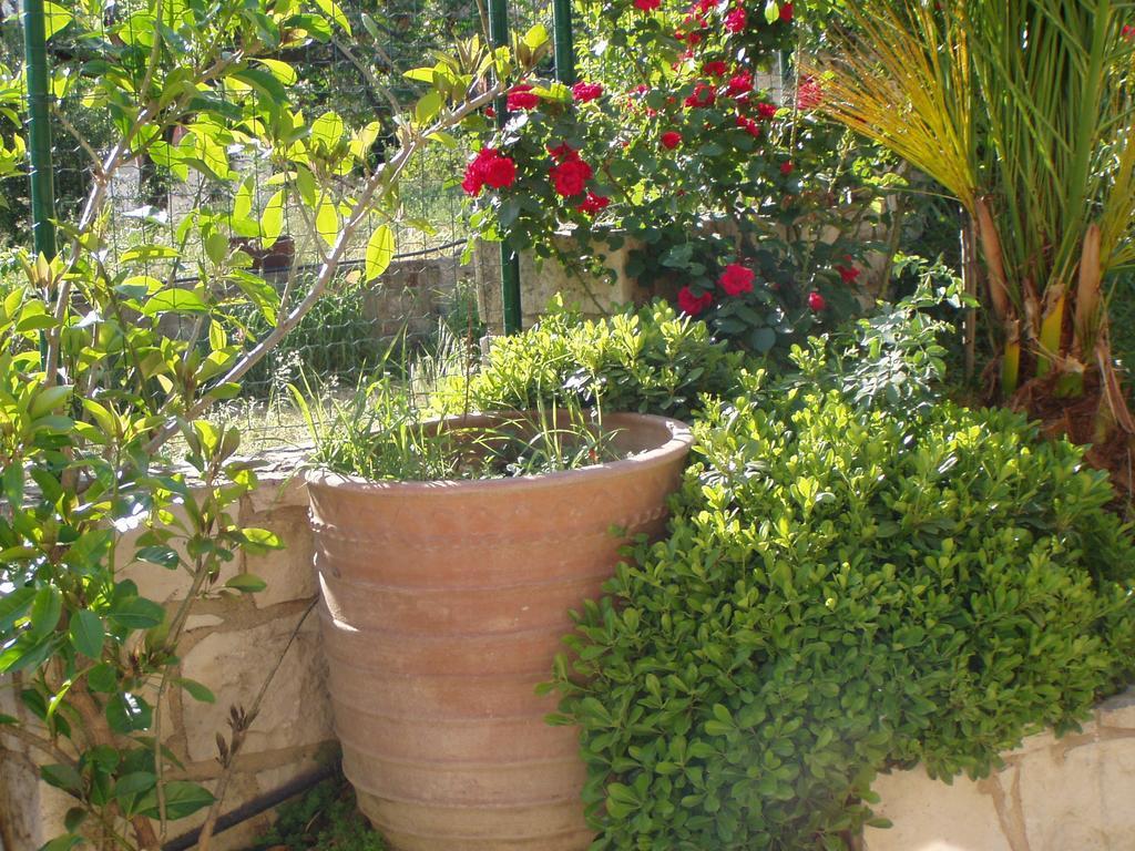 Christina Villas- Minoan Inland Pentamodi Dış mekan fotoğraf